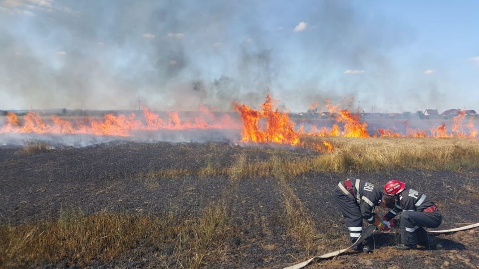 incendiu_vegetatie_bacau