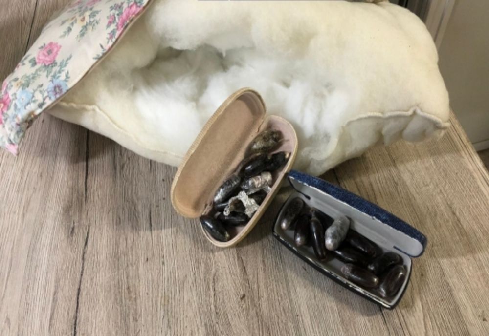 Patru persoane reținute de DIICOT Bacău pentru trafic de droguri