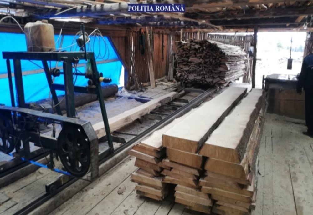 Poliţişti şi specialiştii silvici au fost confiscat peste 120 de metri cubi de material lemnos