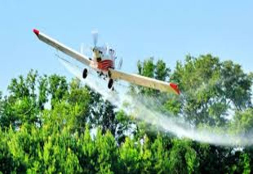 Începe dezinsecția aeriană în Bacău