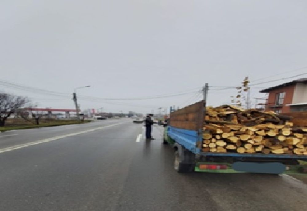 A transportat material lemnos fără documente