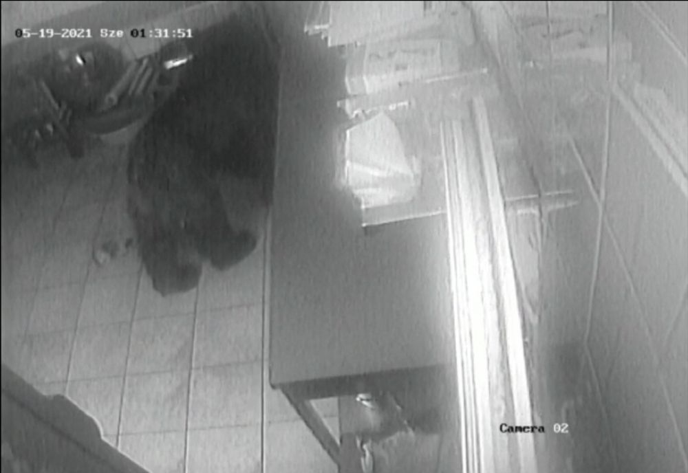 VIDEO Urs într-un restaurant din Micfalău