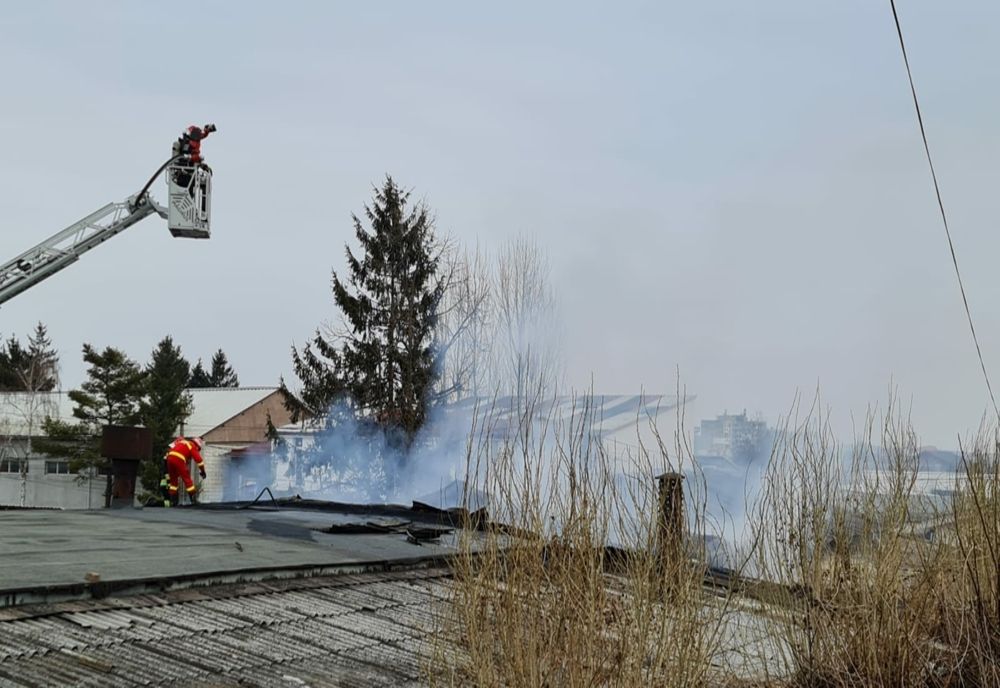 Incendiu la o hală în municipiul Bacău - FOTO&VIDEO