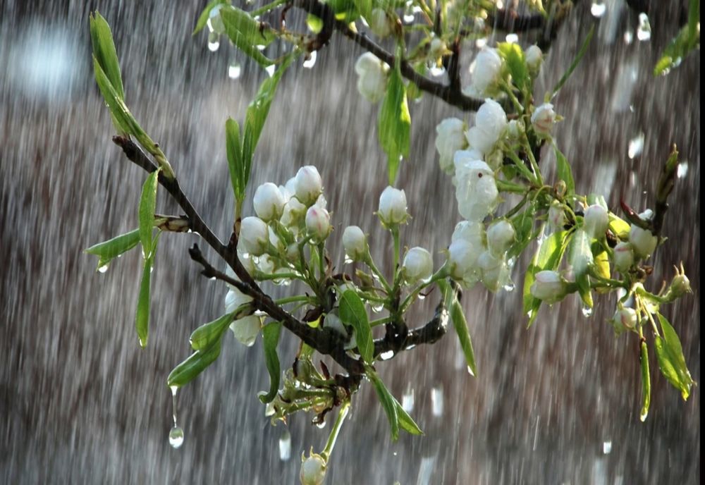 Vremea 3 aprilie - Temperaturi scăzute - Când o să se mai încălzească