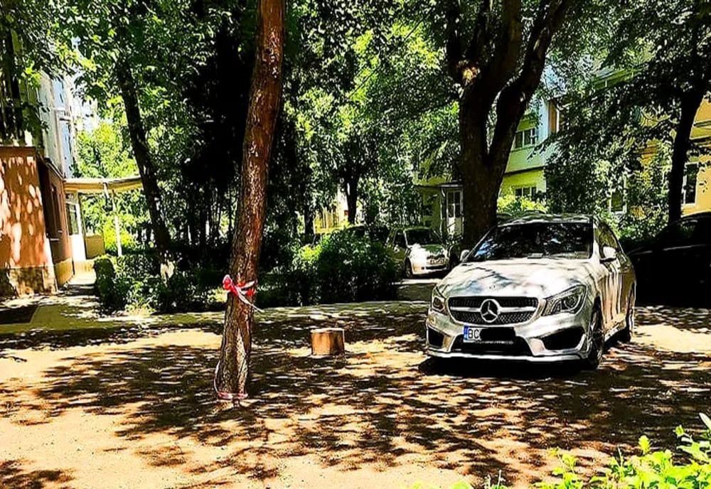 Ce a pățit un șofer de Mercedes care și-a parcat mașina într-un părculeț din Bacău