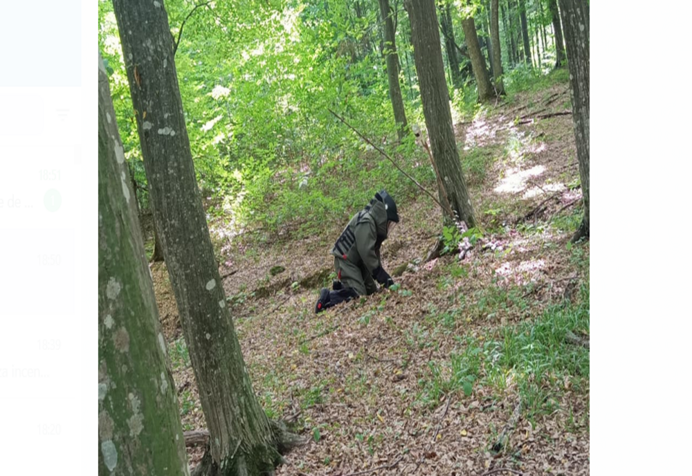 Un bărbat care se plimba prin pădure a descoperit o grenadă defensivă