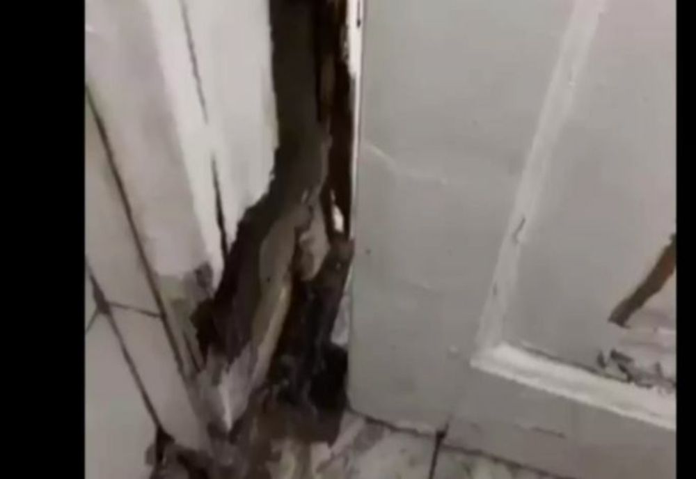 Șobolani pe holurile Academiei de Poliție! Imagini șocante - VIDEO