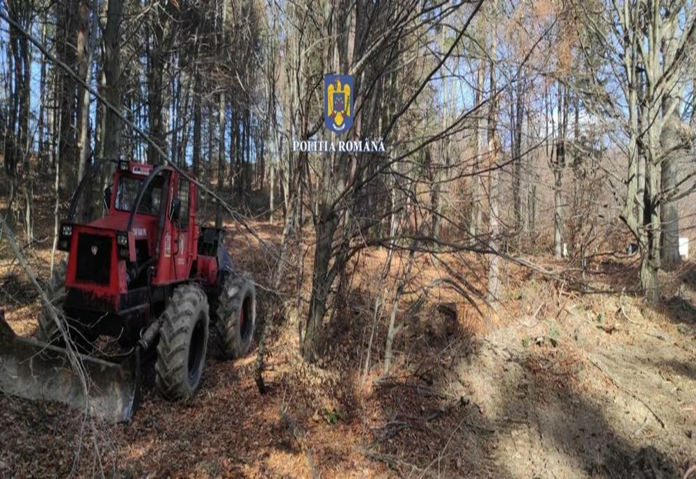 Material lemnos confiscat şi amenzi de peste 32.000 de lei în urma unor controale pe linie de silvicultură           