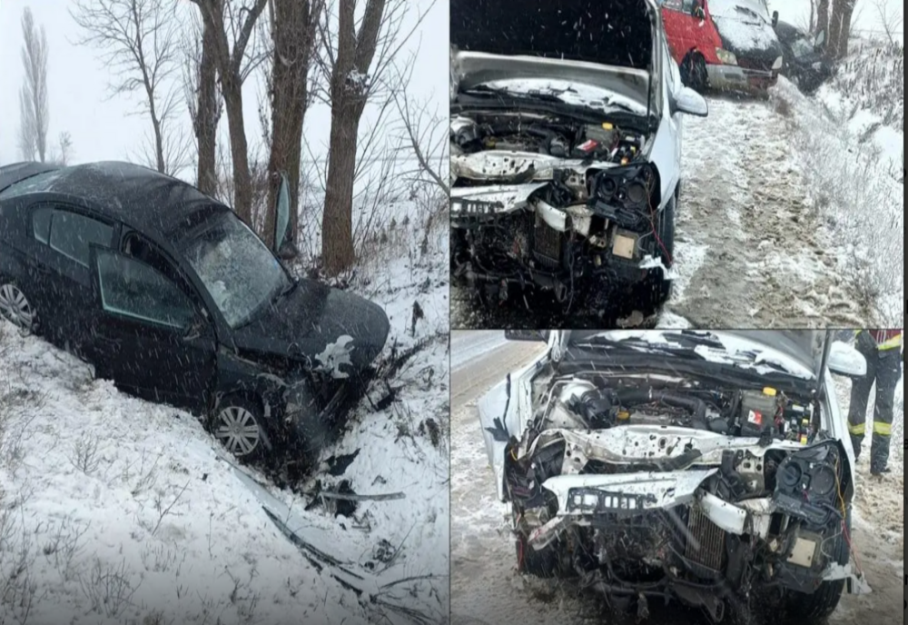 Polițiștii au căutat în sacii cu gunoi pentru identificarea celor care i-au aruncat la întâmplare