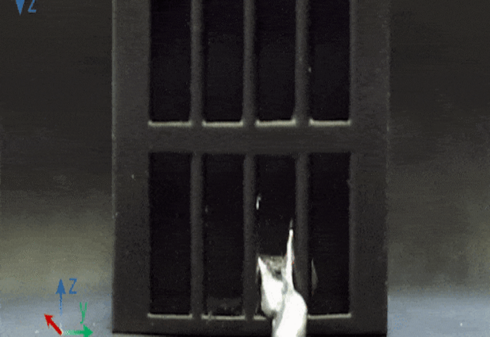 China a prezentat prototipul unui „robot” din galiu, care are capacitatea de a trece din stare solidă în stare lichidă