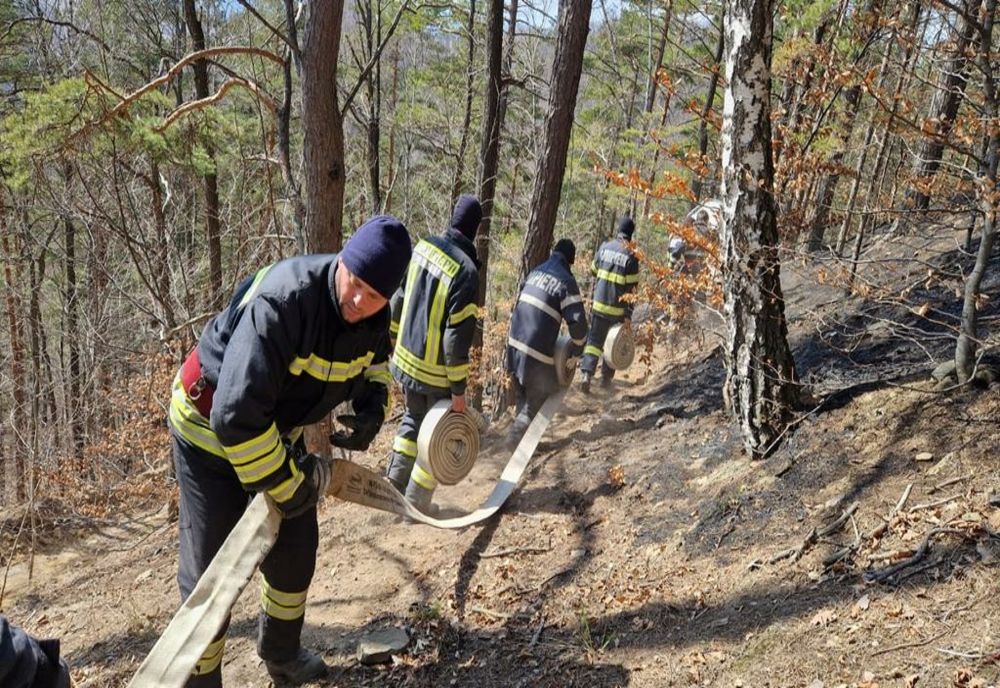 Incendiu la pădurea de pini din Oituz. Pompierii supraveghează zona