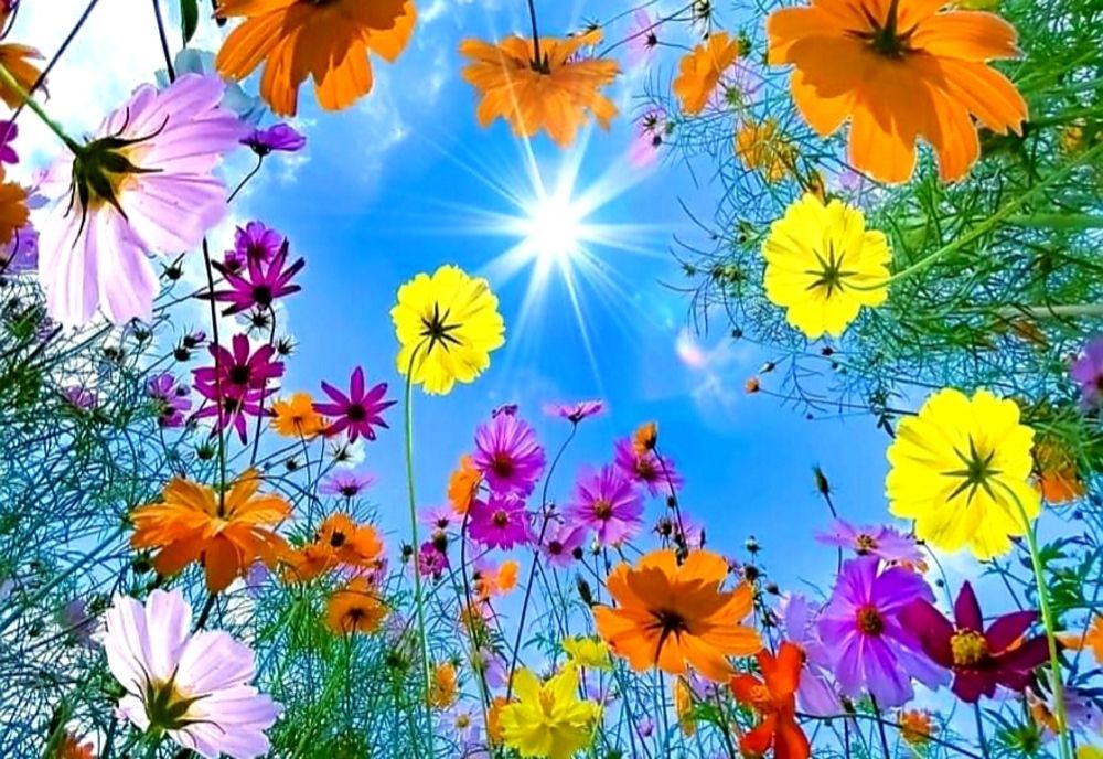 Prognoza meteo pentru următoarele 4 săptămâni. Primăvara își intră în drepturi!