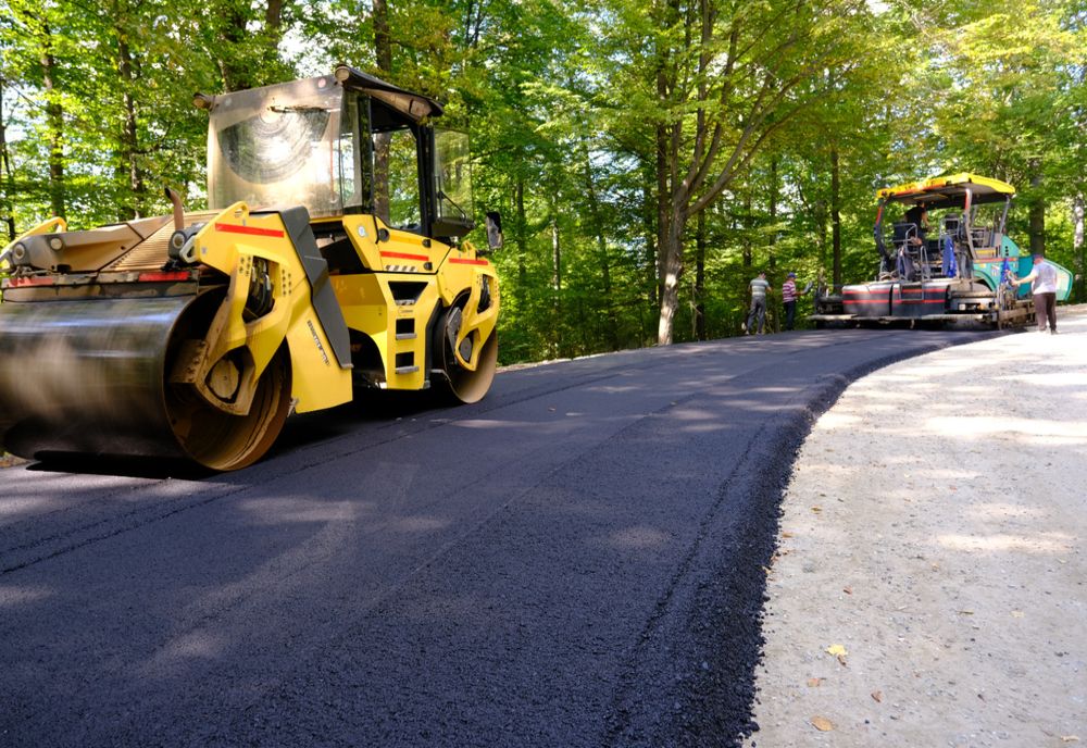 Un băcăuan a obţinut în instanţă dreptul de a-i fi asfaltată strada care trece prin faţa casei