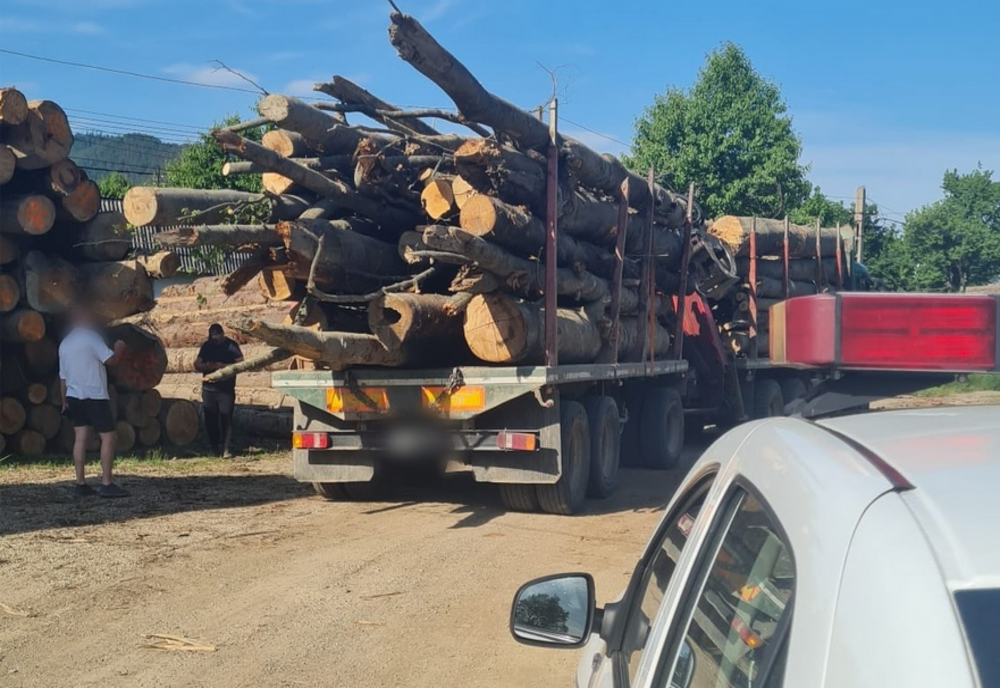 Apel la 112 privind un transport de lemne ilegal. Polițiștii au tras pe dreapta șoferul și au confiscat lemnele și vehiculul
