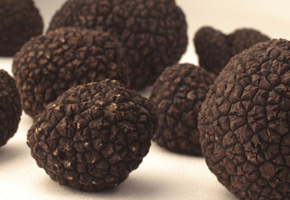 Ce amendă a primit un bărbat care a fost prins la cules de trufe