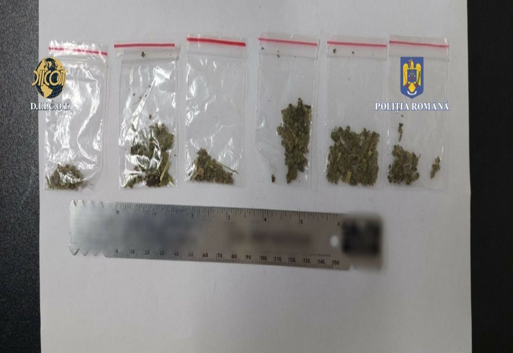 Trei proxeneti din Bacău, arestați preventiv! Aceștia sunt acuzați și de trafic de droguri