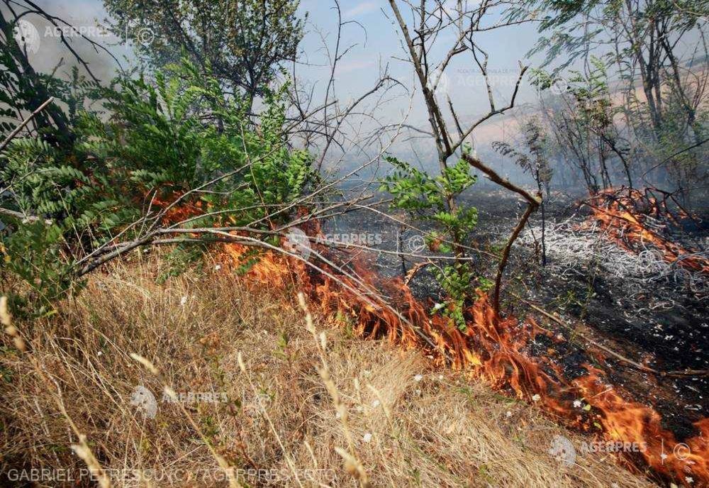 UN ELICOPTER BLACK HAWK VA INTERVENI PENTRU STINGEREA UNUI INCENDIU DE VEGETAȚIE LA SLUTA