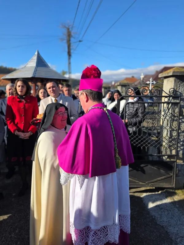 9a7a8631-6f29-49ff-bd5b-e1298570ea16