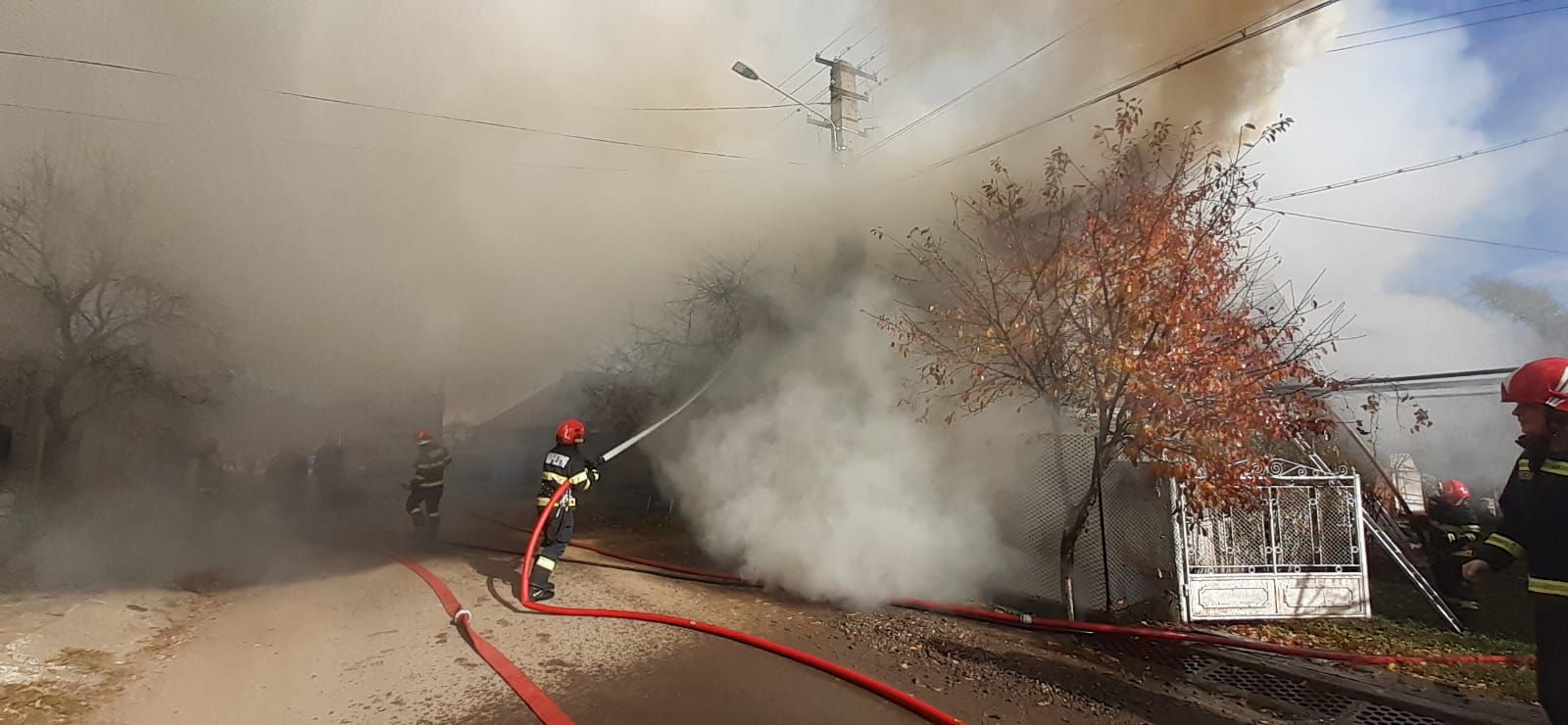 d3622e3e-d3c2-48e6-a88e-3e43fee191b3