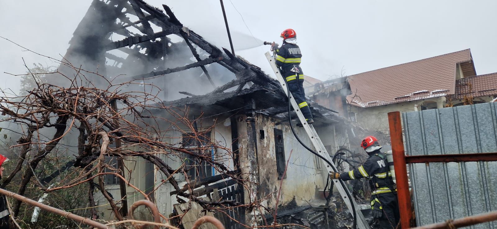 WhatsApp Image 2026-01-22 at 14.41.28