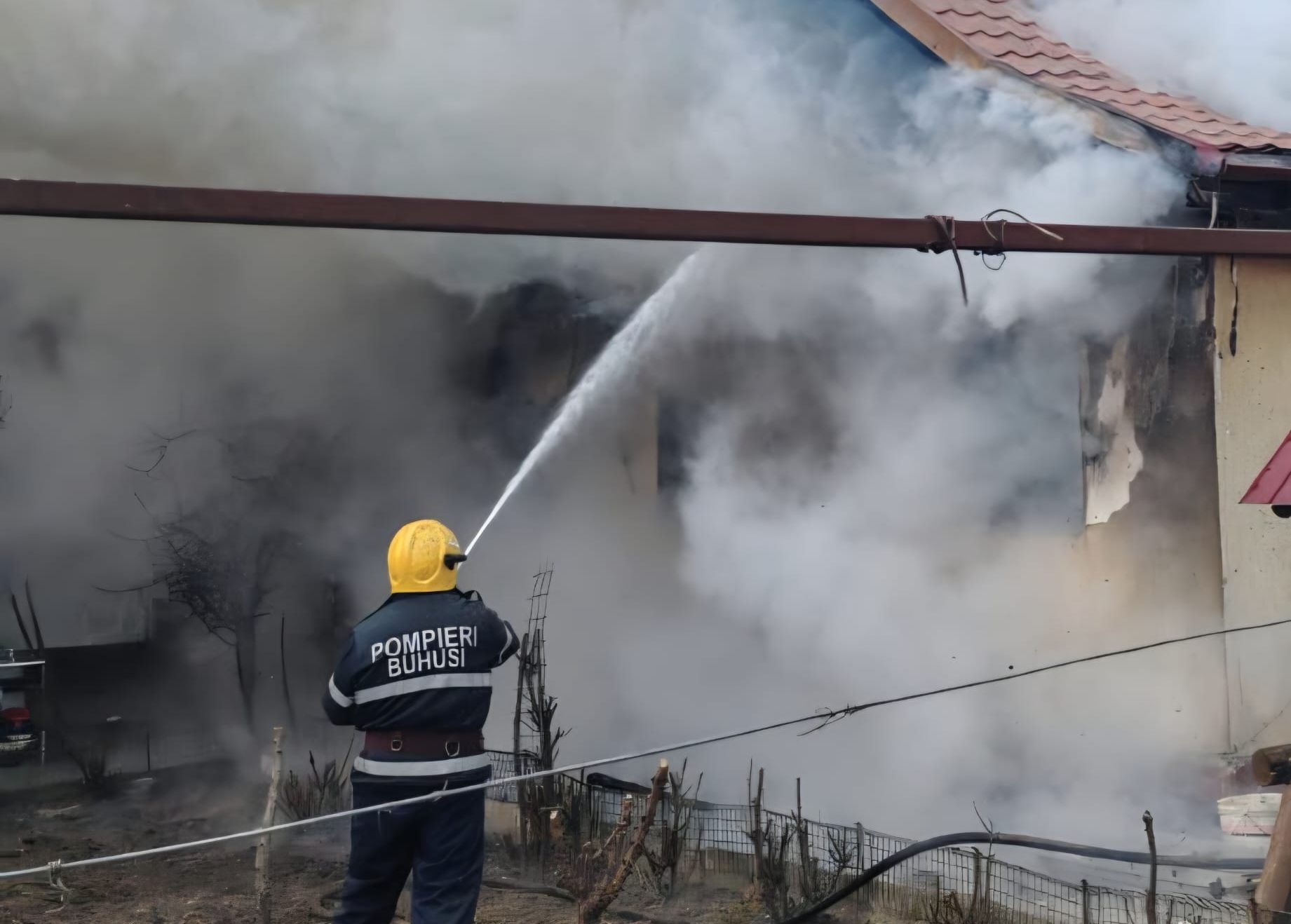 WhatsApp Image 2026-02-01 at 14.40.27