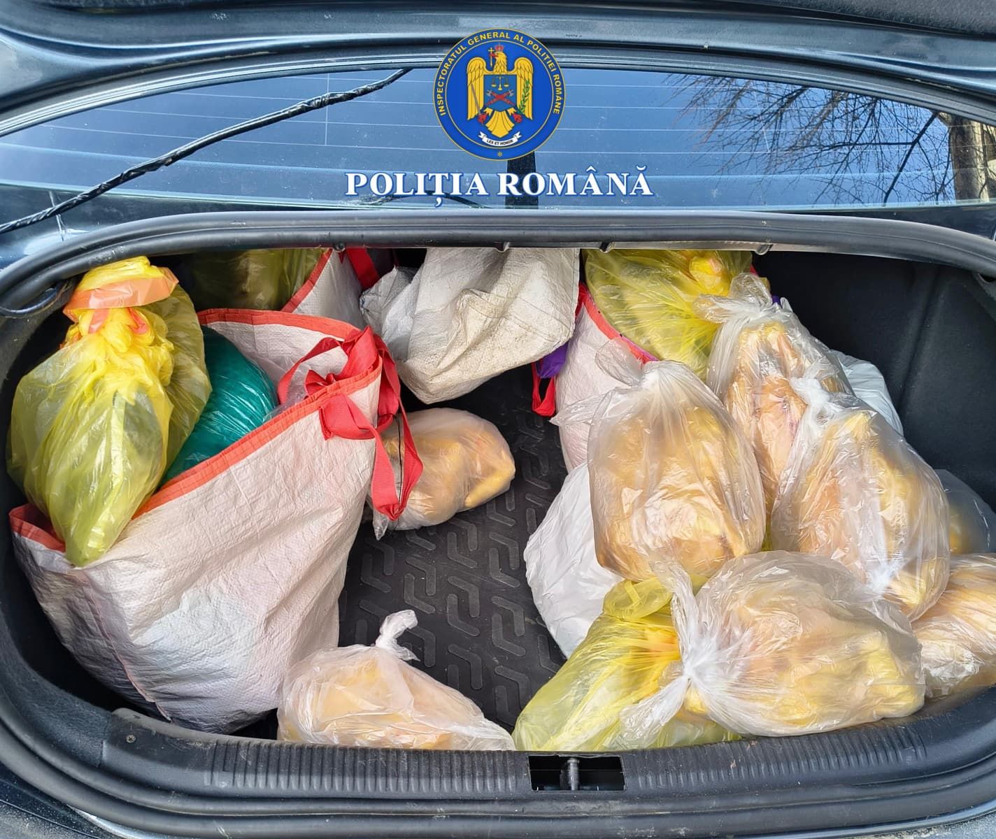 WhatsApp Image 2026-02-11 at 13.22.37