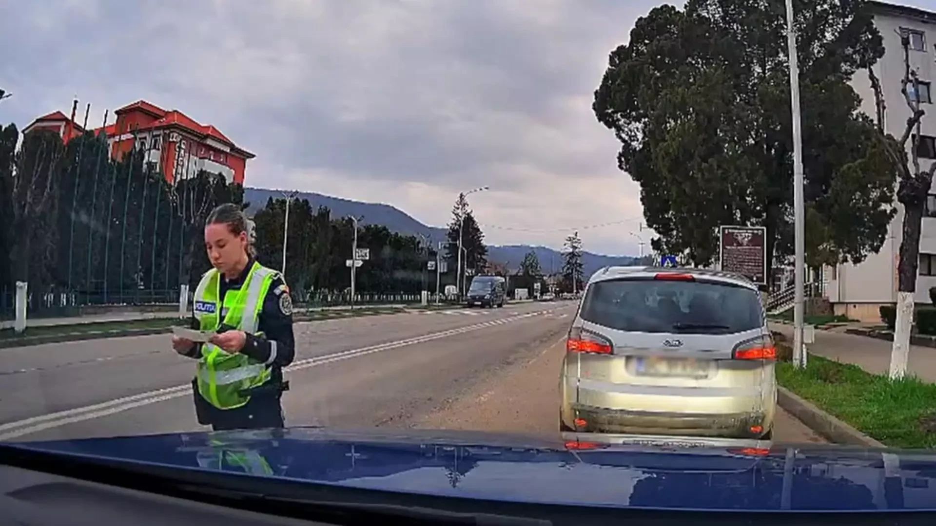 Șofer oprit de Poliția Rutieră