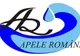 ABA Siret are al treilea director în jumătate de an
