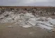FOTO: Un exemplu de urmat! Doi pescari au strâns toate gunoaiele de pe malul lacului Răcăciuni