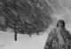 Zona montană din Bacău, sub cod galben de vânt și ninsori până luni după-amiază