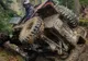 Trofeul Dacii Liberi aduce și în acest an împătimiți ai Off Road-ului la Slănic Moldova