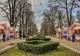 A patra încercare: parc sau bâlci? Soarta Parcului „Cancicov”, în mâinile consilierilor locali din Bacău