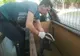 FOTO: Un bursuc, musafir nepoftit în beciul unui locuitor al municipiului Bacău. Animalul rănit a fost îngrijit și eliberat în sălbăticie