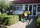 FOTO: Invazie de omizi la Onești! Autoritățile au căutat soluții speciale pentru combaterea dăunătorilor care lasă gardul viu și arbuștii fără frunze