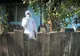 Un cetățean francez stabilit de două luni în județul Bacău și-a snopit în bătaie concubina franțuzoaică. Agresorul a fost arestat ieri pentru tentativă de omor