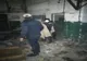 Patru tineri din Buhuși și-au făcut adăpost într-o centrală termică
