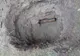 FOTO - VIDEO: Bombă de 50 de kilograme, găsită în albia pârâului Agăș!