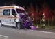 O ambulanță ce se întorcea de la un accident cu un pacient rănit a lovit în plin două vaci care se plimbau pe șosea