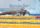 Emily Mărginean și Daniel Martin de la CSM Bacău, pe podium în prima zi a Campionatelor Naţionale de înot în bazin scurt (25 metri) de la Miercurea Ciuc