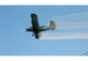 Dezinsecție aeriană în Bacău