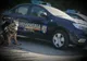 Câinii de serviciu- partenerii de încredere ai jandarmilor băcăuani