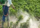 Un bărbat, cercetat de polițiștii pentru că a depozitat aproximativ 11.000 kg de produse de protecţie a plantelor fără respectarea condiţiilor legale privind protecţia mediului