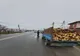A transportat material lemnos fără documente              