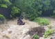 Răsturnare de situație în cazul pilotului mort la Slănic Moldova - Procurorii au deschis dosar penal