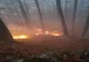 Au ars peste 28 de hectare în pădurea de la Oituz