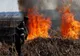 Incendiu de vedețatie la Faraoani