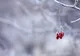 Vremea 6 ianuarie - Temperaturi deosebit de ridicate tocmai în ziua de Bobotează