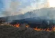 7 incendii de vegetație uscată în ultimele 24 de ore