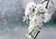 Prognoza meteo 27 aprilie. Instabilitate accentuată - averse și condiții de grindină, dar cu maxime de 26 de grade