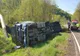 Camion plin cu cherestea, răsturnat pe DN11